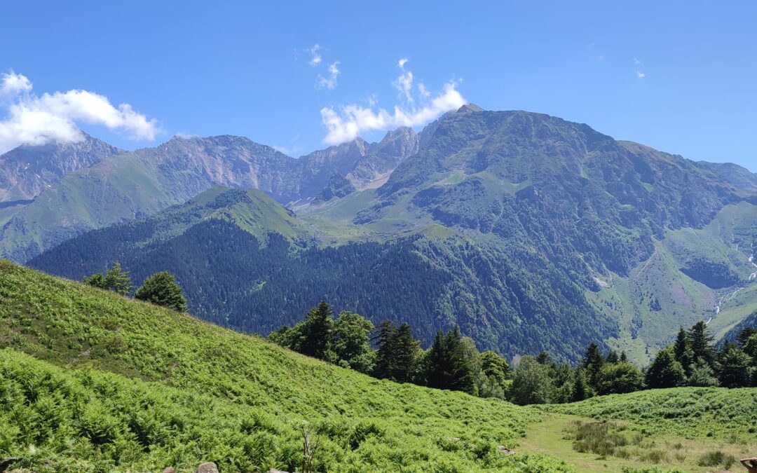 Tout premier article ! #3