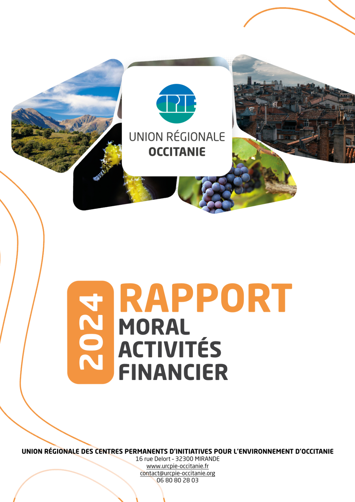 rapport d'activités 2024