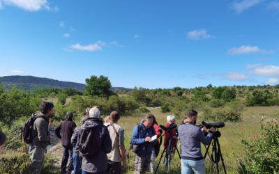 Programmations estivales des CPIE d&rsquo;Occitanie